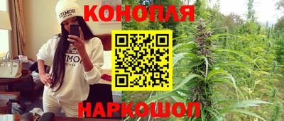 прущие грибы Аша