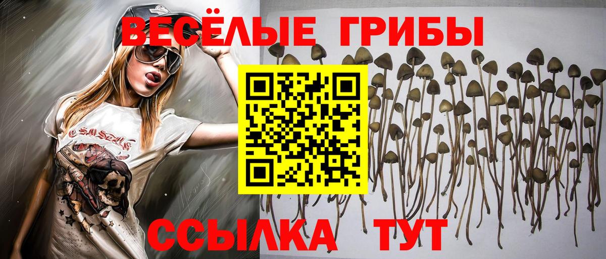 Псилоцибиновые грибы мухоморы Кимовск